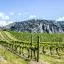Voordelige huurauto's in Thompson Okanagan