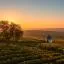 Cheap car rental in Rhine District