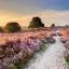 Cheap car rental in Veluwe