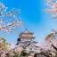 Cheap car rental in Chiba