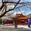 Cheap car rental in Mount Fuji 