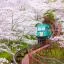 Cheap car rental in Miyagi