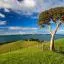 Cheap car rental in Auckland Region