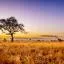 Cheap car rental in Kruger National Park
