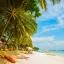 Billig leiebil i Bohol