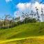 Cheap car rental in Quindio
