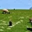 Cheap car rental in Lower Normandy