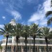 a building with palm trees in front of it
