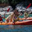 a group of people in kayaks in the water