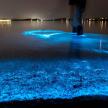 a blue light on the water at night