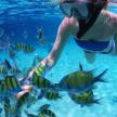 a woman in a swimsuit feeding fish in the water