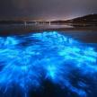 a group of blue lights on the water at night