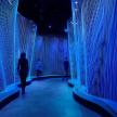 a person walking through a room with blue lights