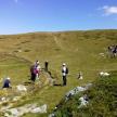 a group of people walking on a grassy hill