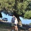 a man and a woman standing next to a tree