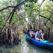 two people in a canoe through a mangrove forest