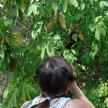 a woman looking at a monkey in a tree