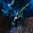 a man and a woman walking through a tunnel in an aquarium