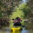 a dog is riding in a kayak in a river