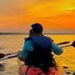 a man in a kayak watching a dolphin in the water