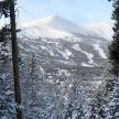 a snow covered mountain in the distance with trees