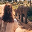 a woman taking a picture of two elephants from a vehicle