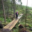 a person riding a bike on a wooden bridge in the woods