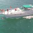 a group of people on a boat with a shark in the water