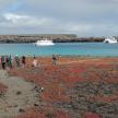 a group of people walking on a beach with boats in the water