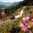 a jeep driving down a dirt road with flowers