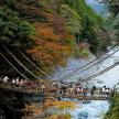 a group of people crossing a suspension bridge over a river