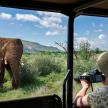 a person taking a picture of an elephant from a vehicle
