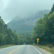 a car is driving down a road with trees