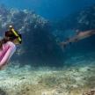 a woman is looking at a shark in the ocean