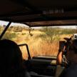 a group of people taking pictures of a safari in a vehicle