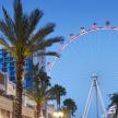 a large ferris wheel in a city with palm trees