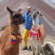 a man standing next to two llamas on a mountain