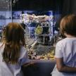 two young girls looking at a display of a lego exhibit