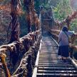 a woman walking across a suspension bridge in a forest