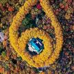 an overhead view of a car parked in a forest