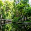 a pond in a park with trees and a bridge