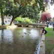 a person feeding ducks in a pond in a park