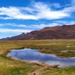 a field with a small pool of water in front of mountains