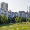 a park in front of a city with tall buildings