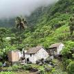 a group of houses on a mountain with a palm tree