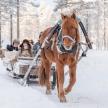 a horse pulling a sleigh with people on it in the snow