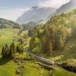 a train traveling through a lush green valley