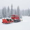 a group of people riding on a snow pulled sleigh