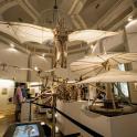 a museum with a plane hanging from a ceiling