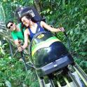 two people riding on a roller coaster in the jungle